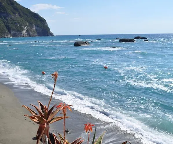 La Citarea Forio di Ischia