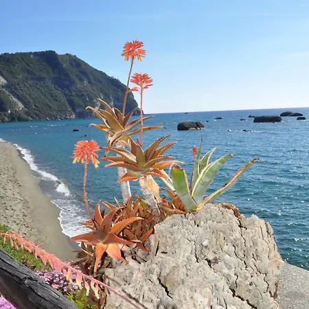 La Citarea ベッド・アンド・ブレックファスト Forio di Ischia