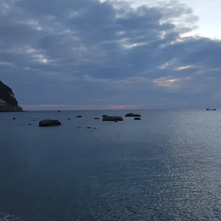 La Citarea * Forio di Ischia