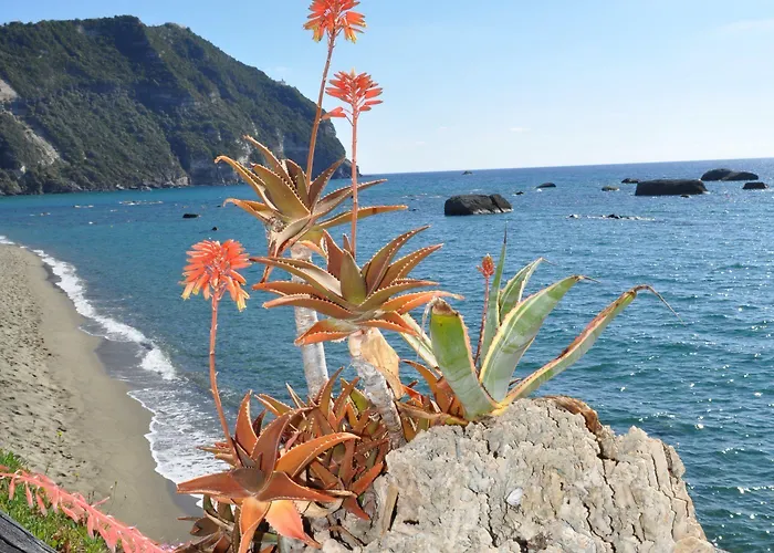 La Citarea 住宿加早餐酒店 Forio di Ischia